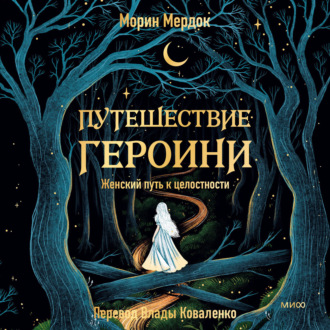 Обложка книги «Путешествие героини»