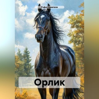 Обложка книги «Орлик»