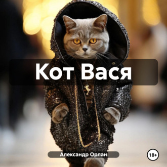 Обложка книги «Кот Вася»
