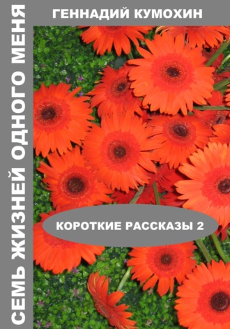 Обложка книги «Семь жизней одного меня. Короткие рассказы 2»
