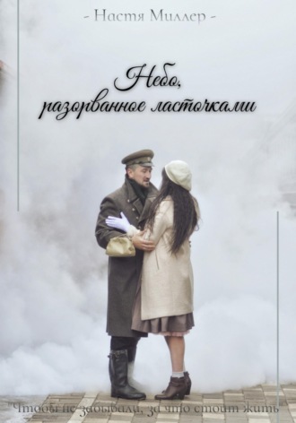 Обложка книги «Небо, разорванное ласточками»