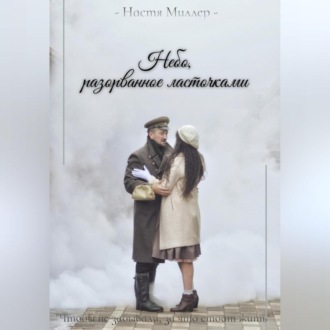 Обложка книги «Небо, разорванное ласточками»