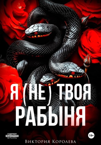 Обложка книги «Я (не) твоя рабыня»