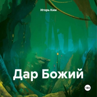 Обложка книги «ДАР БОЖИЙ»