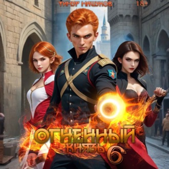 Обложка книги «Огненный князь 6»