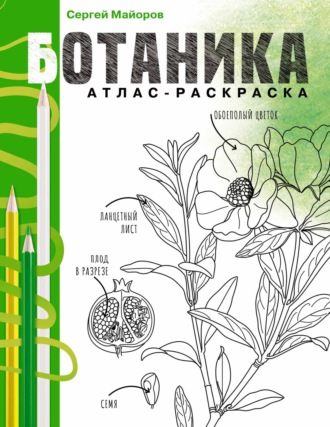 Обложка книги «Ботаника. Атлас-раскраска»