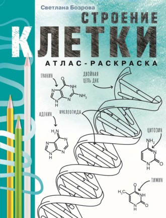 Обложка книги «Строение клетки. Атлас-раскраска»