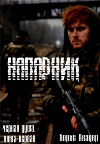 Обложка книги «Напарник»