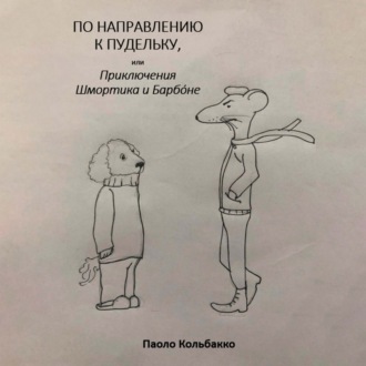 Обложка книги «По направлению к пудельку, или Приключения Шмортика и Барбóне»