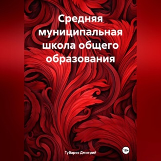Обложка книги «Средняя муниципальная школа общего образования»