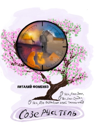 Обложка книги «Созерцатель»