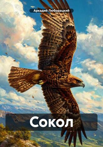 Обложка книги «Сокол»