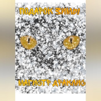 Обложка книги «Подарок Зимы»