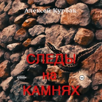 Обложка книги «Следы на камнях»
