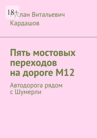 Обложка книги «Пять мостовых переходов на дороге М12. Автодорога рядом с Шумерли»