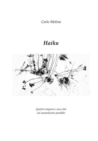 Обложка книги «Haiku»
