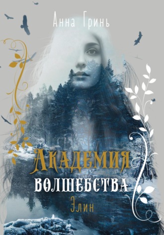 Обложка книги «Академия волшебства. Элин»