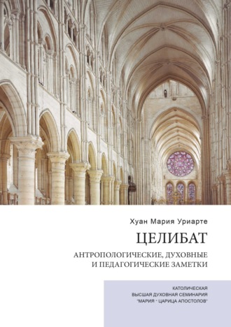 Обложка книги «Целибат. Антропологические, духовные и педагогические заметки»