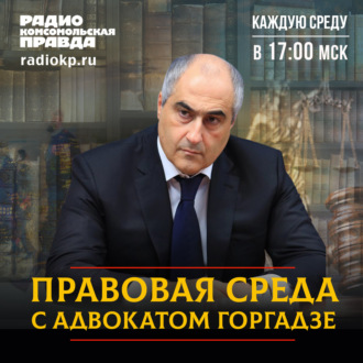Обложка книги «Возвращение иностранных компаний, нападения собак и ограничения продажи алкоголя»