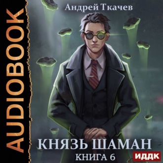 Обложка книги «Князь шаман. Книга 6»