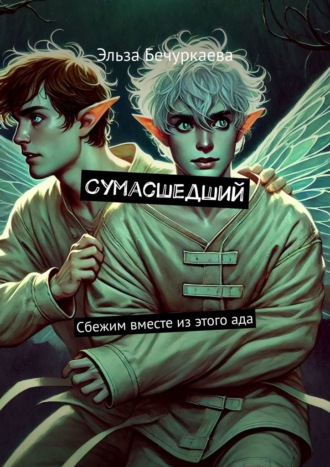 Обложка книги «Сумасшедший. Сбежим вместе из этого ада»
