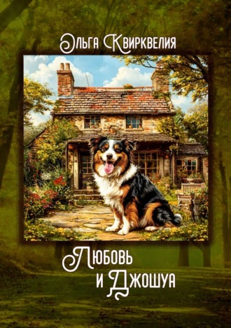 Обложка книги «Любовь и Джошуа»