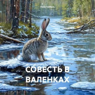 Обложка книги «Совесть в валенках»
