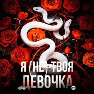 Обложка книги «Я (не) твоя девочка»