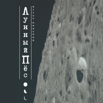Обложка книги «Лунный пёс»
