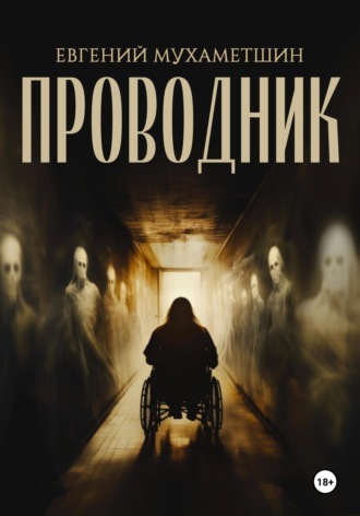 Обложка книги «Проводник»