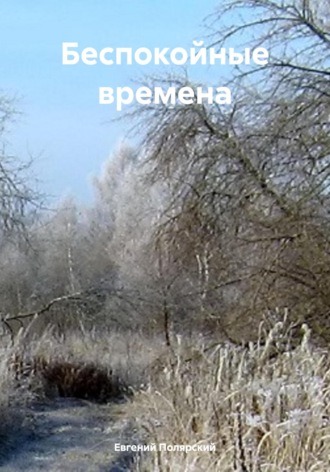 Обложка книги «Беспокойные времена»
