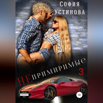 Обложка книги «Непримиримые 3»