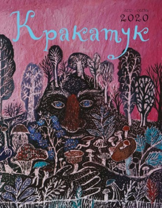 Обложка книги «Кракатук. Лето – осень 2020»