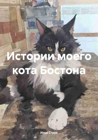 Обложка книги «Истории моего кота Бостона»