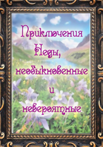 Обложка книги «Приключения Неды, необыкновенные и невероятные»