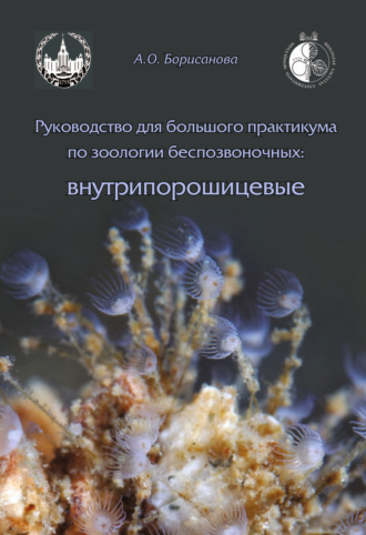 Обложка книги «Руководство для большого практикума по зоологии беспозвоночных. Внутрипорошицевые»