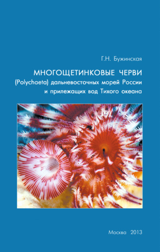 Обложка книги «Многощетинковые черви (Polychaeta) дальневосточных морей России и прилежащих вод Тихого океана: аннотированный список видов, библиография»
