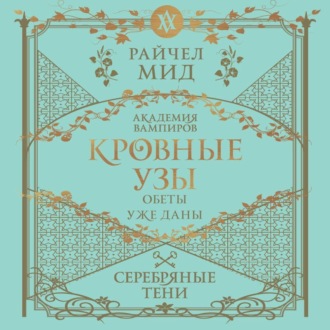 Обложка книги «Серебряные тени»