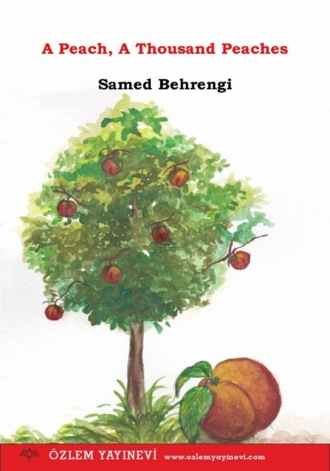 Обложка книги «A Peach, A Thousand Peaches»