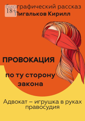 Обложка книги «Провокация. По ту сторону закона»