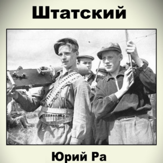 Обложка книги «Штатский»