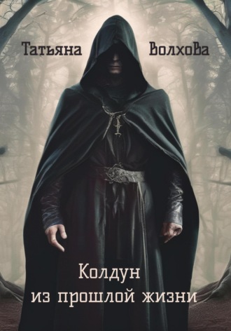 Обложка книги «Колдун из прошлой жизни»
