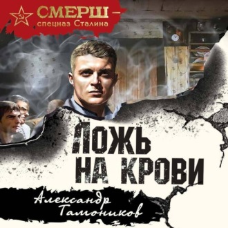 Обложка книги «Ложь на крови»