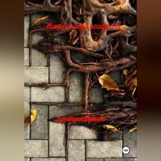 Обложка книги «Жизнь полная раздумий»