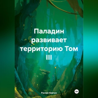 Обложка книги «Паладин развивает территорию Том III»