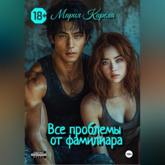 Обложка книги «Все проблемы от фамильяра»