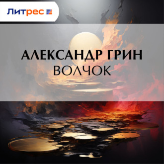 Обложка книги «Волчок»