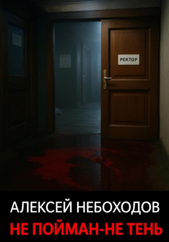 Обложка книги «Не пойман – не тень»