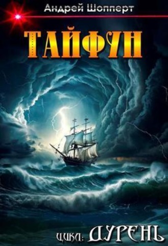 Обложка книги «Дурень. Книга шестая. Тайфун»