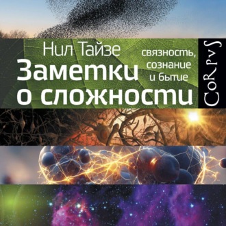 Обложка книги «Заметки о сложности. Связность, сознание и бытие»